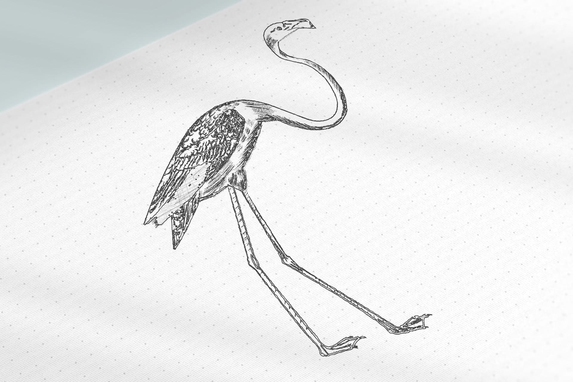 Hand-drawn Flamingo bird study on dotted paper
