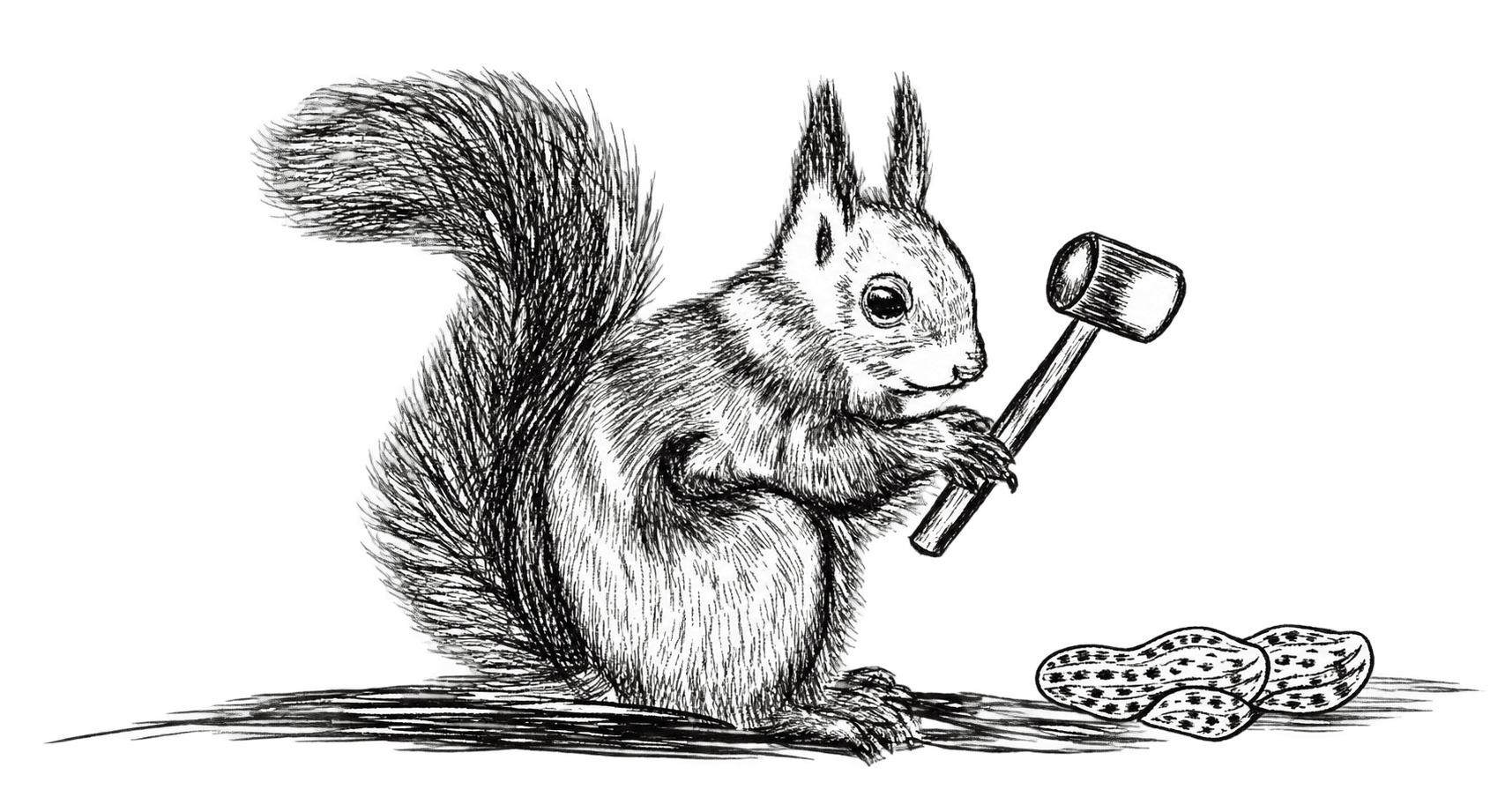 Hand-drawn squirrel holding a mallet beside nuts