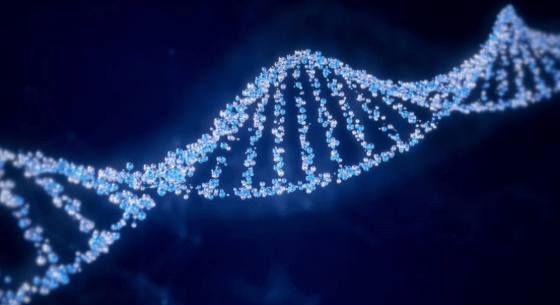 Ocean Product - DNA 3D Design