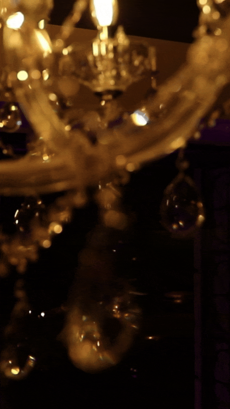 Meduzza Brand Application - Digital Presence