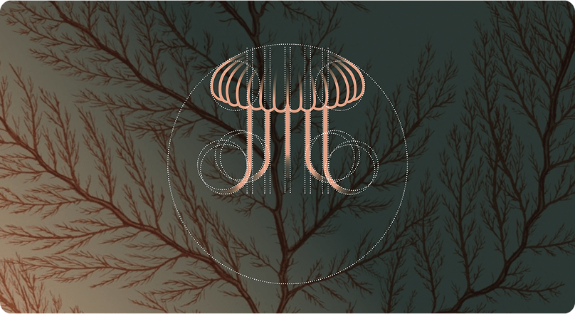 Meduzza Brand Identity - Logo and Visual Elements