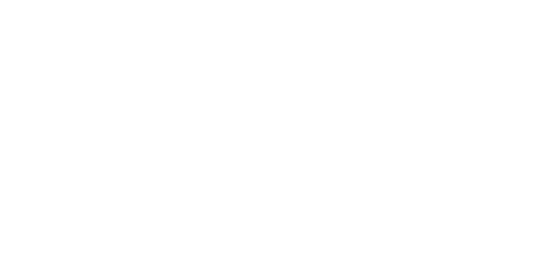 Flamingo Studio Logo - Handcrafted Calligraphic Mark